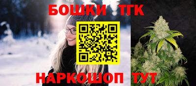 СК Шелехов