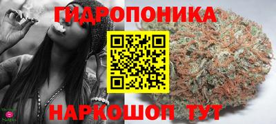 СК Шелехов