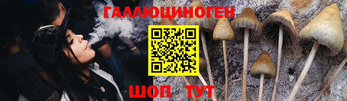 Псилоцибиновые грибы GOLDEN TEACHER  Вход с VPN  Уварово 