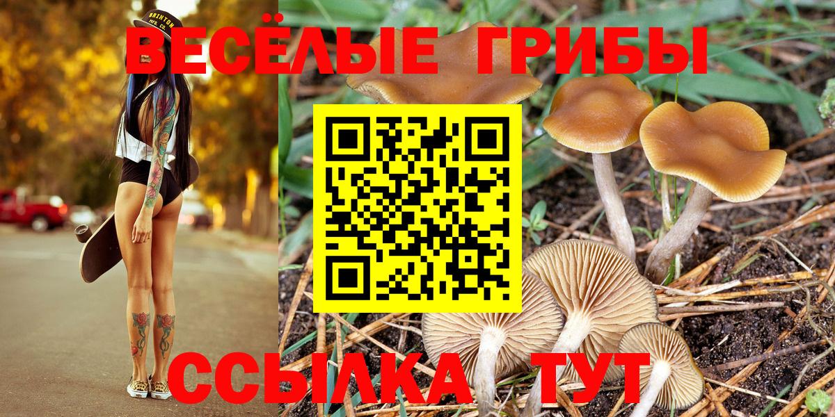 Галлюциногенные грибы ЛСД Уварово